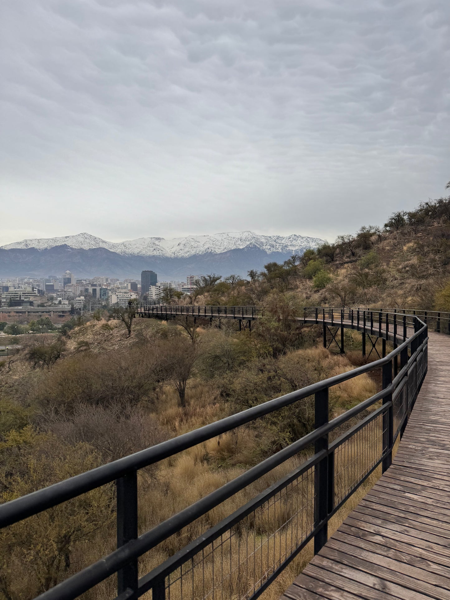Caminata 7k