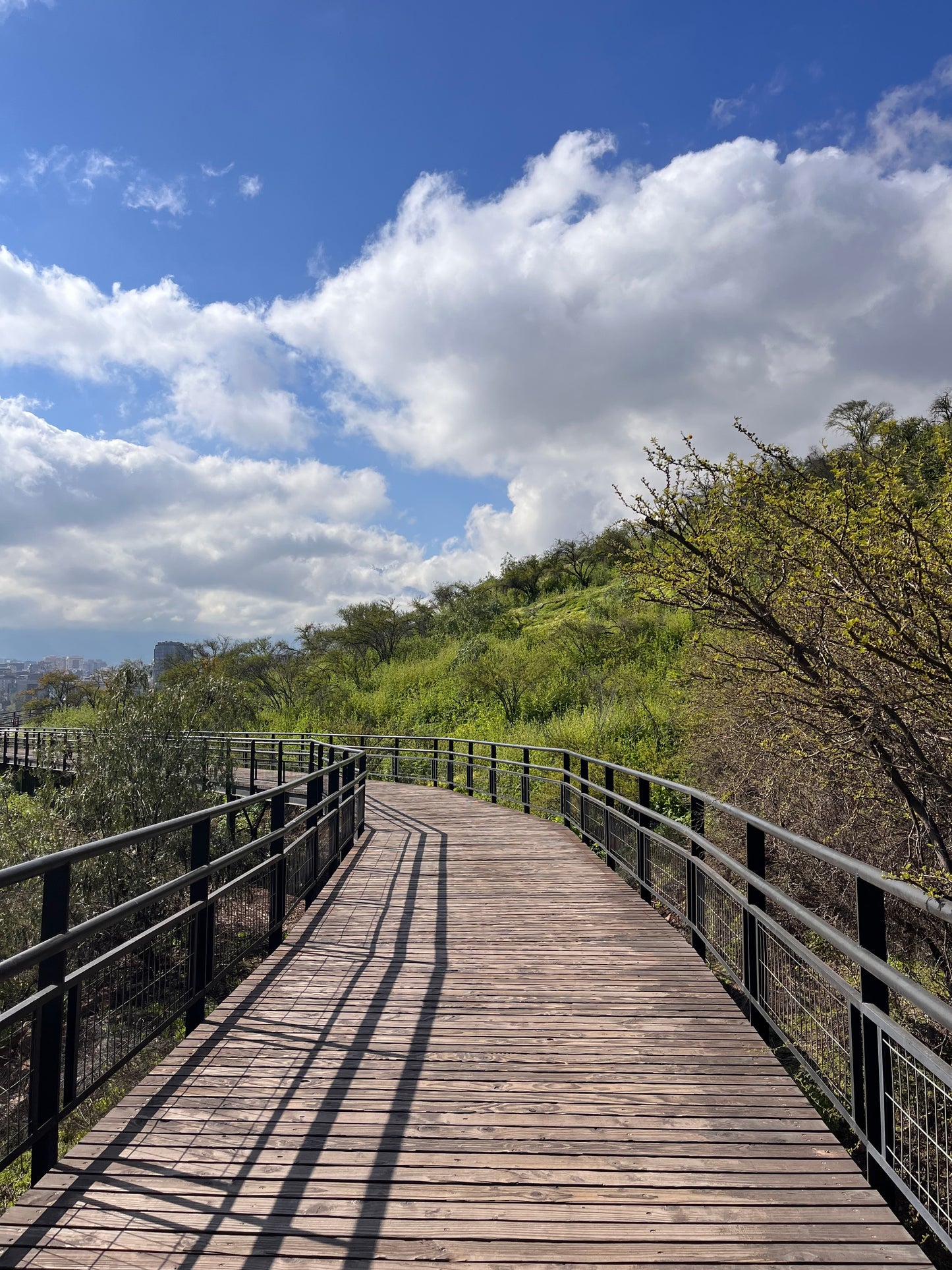 Caminata 7k