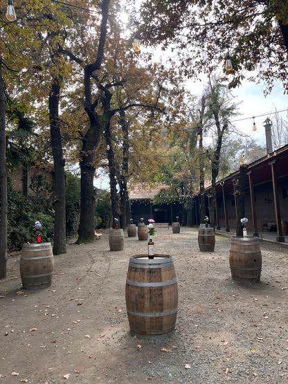 Tour de vinos 🍷🧀