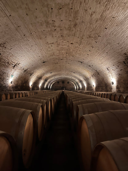 Tour de vinos 🍷🧀