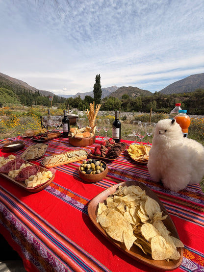 Embalse el yeso sábado 21 de marzo