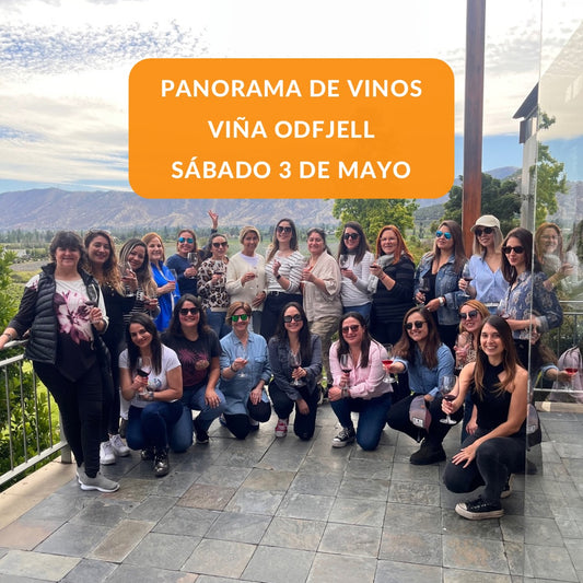 Tour privado de vinos viña odfjell