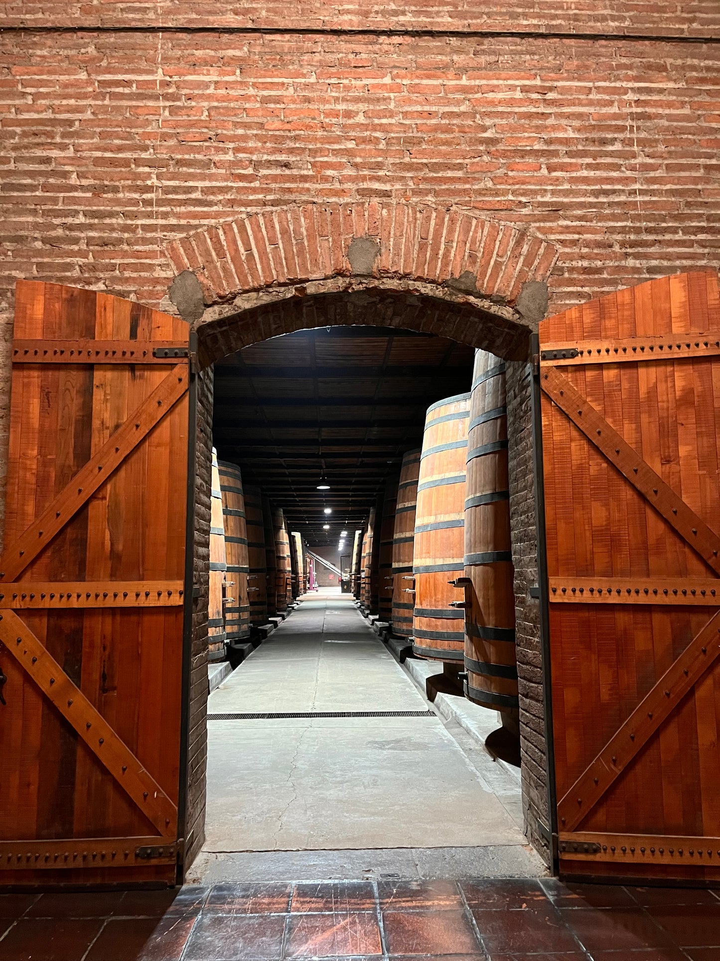 Tour de vinos 🍷🧀