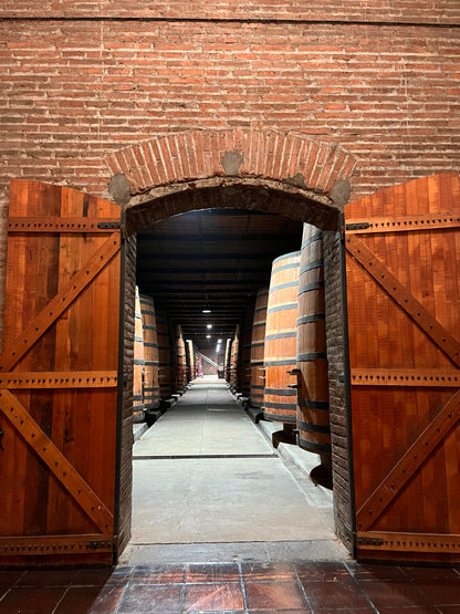 Tour de vinos 🍷🧀