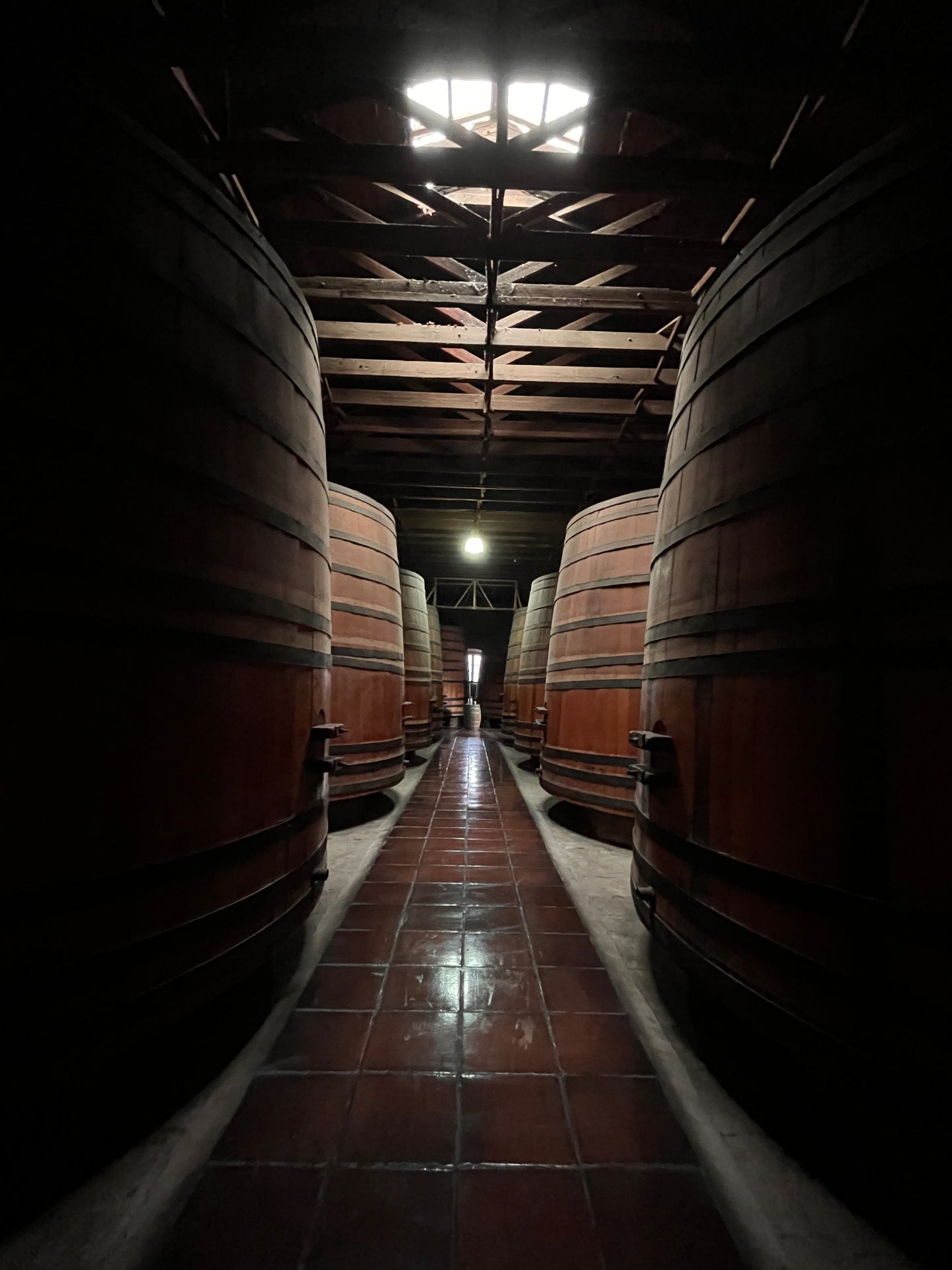 Tour de vinos 🍷🧀