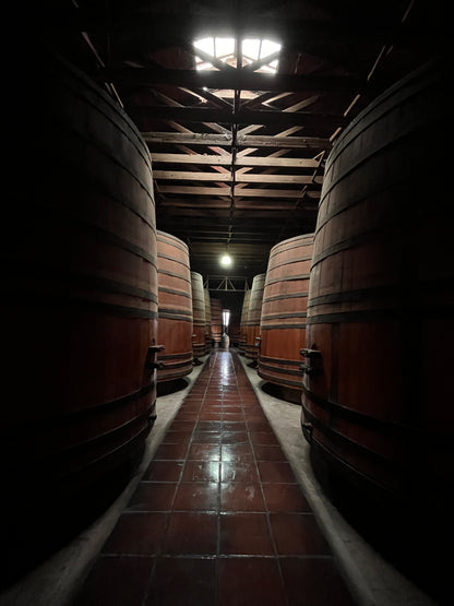 Tour de vinos 🍷🧀