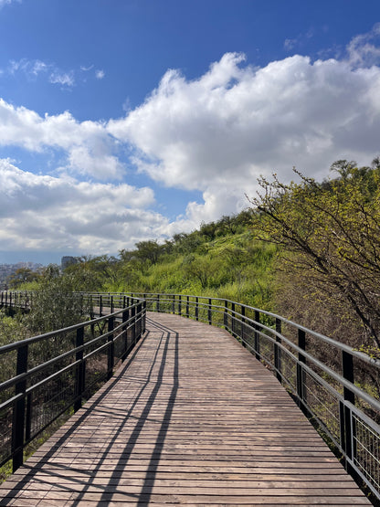 Caminata 7k