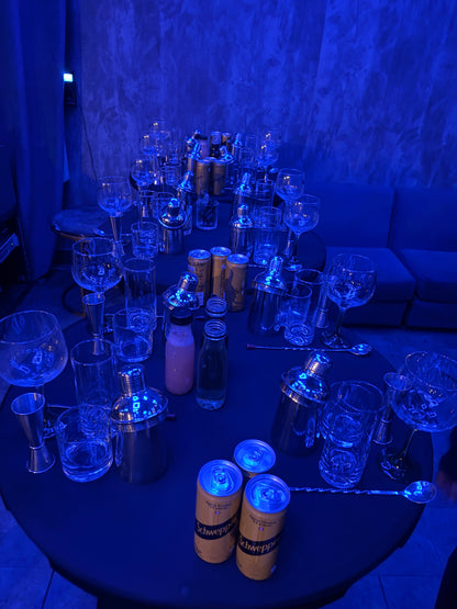 clase de coctelería + fiesta 45 años +