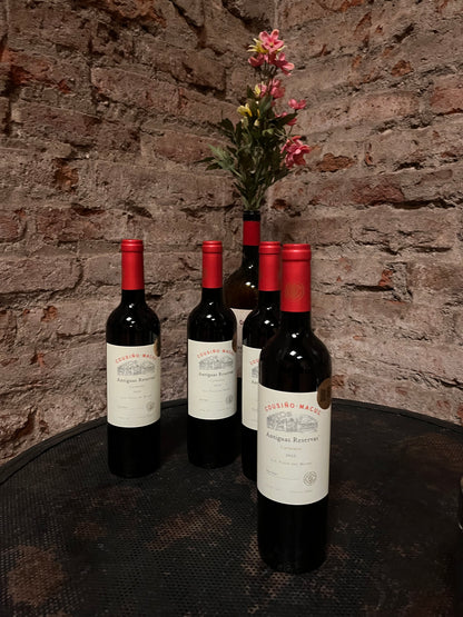 Tour de vinos 🍷🧀