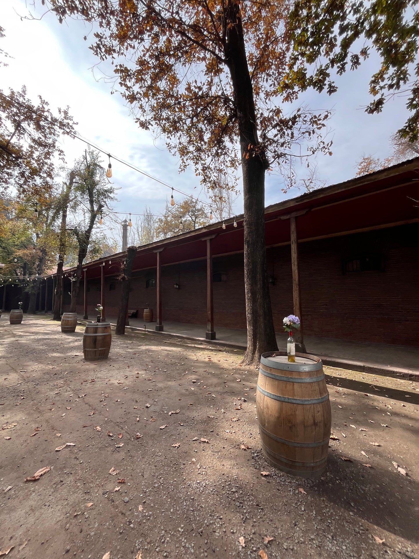Tour de vinos 🍷🧀