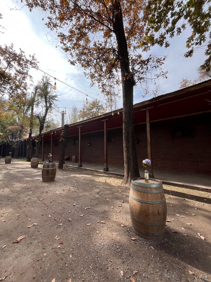 Tour de vinos 🍷🧀