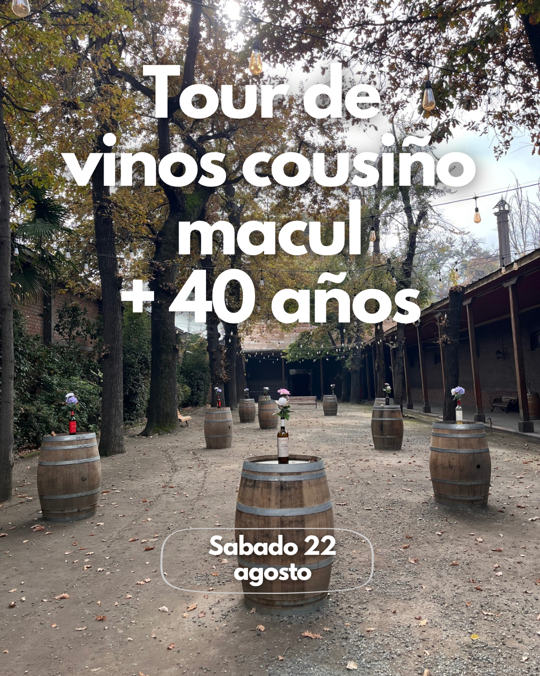 Tour de vinos 🍷🧀