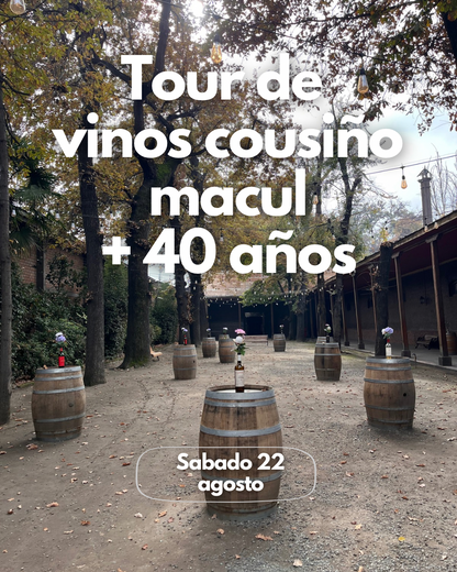 Tour de vinos 🍷🧀